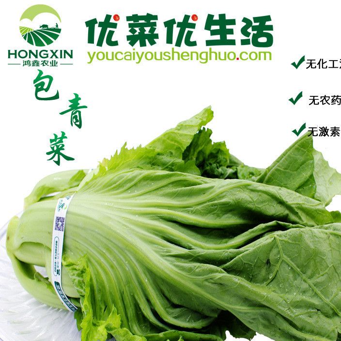 贵州优菜优生活 新鲜优质包青菜1000g无公害农家绿色蔬菜厂家批发