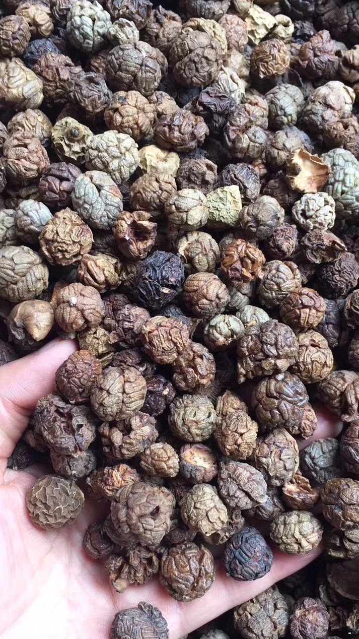 香料大全 香辛料草果八角三奈肉蔻桂皮茴香香果丁香白芷砂仁草寇