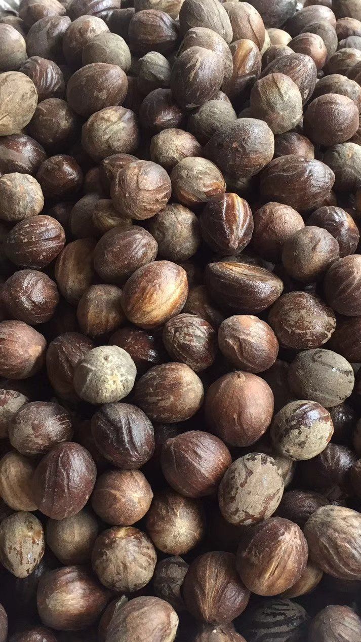 香料大全 香辛料草果八角三奈肉蔻桂皮茴香香果丁香白芷砂仁草寇
