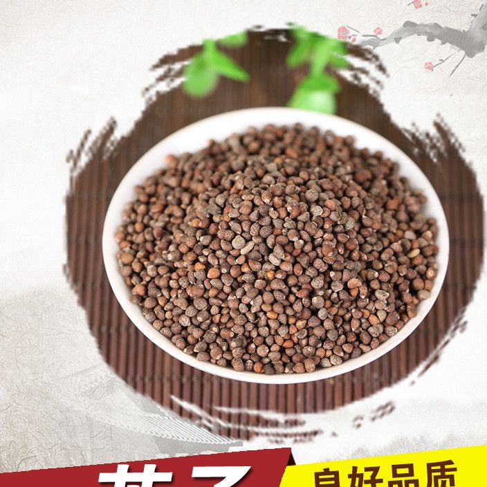 中药供应批发 地道紫苏子