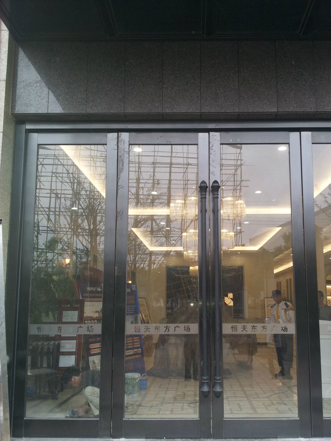 黑钛金拉丝不锈钢手推门