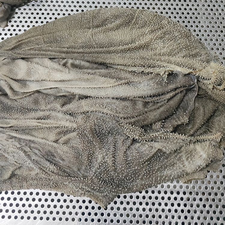 火鍋食材牛鞭花 _冷凍食品紅燒牛鞭 批發(fā)新鮮牛鞭花 牛鞭火鍋食材/