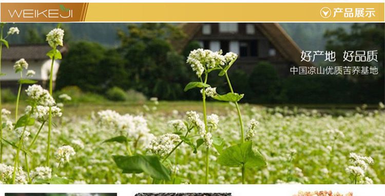 供应强劲奥林 野苦荞籽粒型野荞茶礼盒装 320g 大凉山 厂家特产批发
