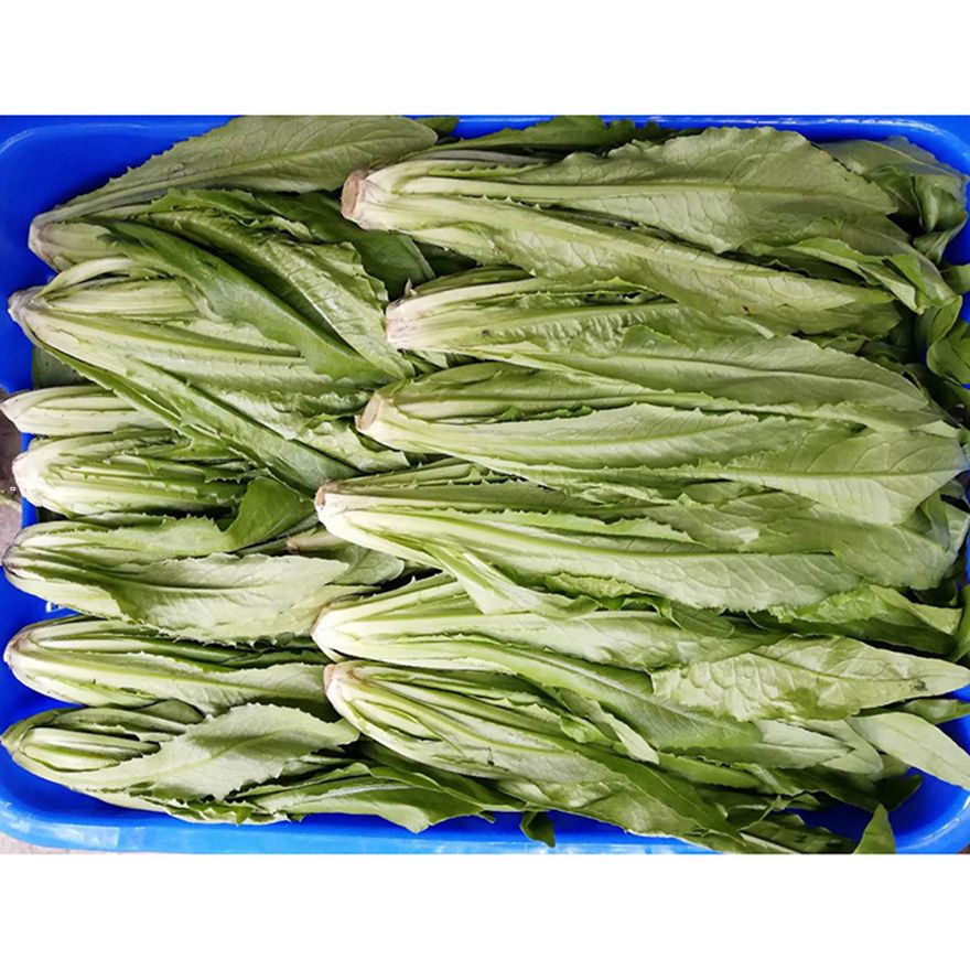 蔬菜配送_蔬菜配送商家_餐馆蔬菜配送_东莞蔬菜配送批发中心_东莞蔬菜