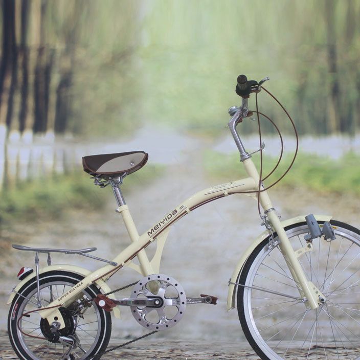 天津厂家直销 24/16寸钓鱼自行车 女士自行车 品质保证批发零售