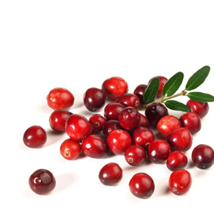 cranberry juice concentrate蔓越桔浓缩汁小红莓浓缩果汁*