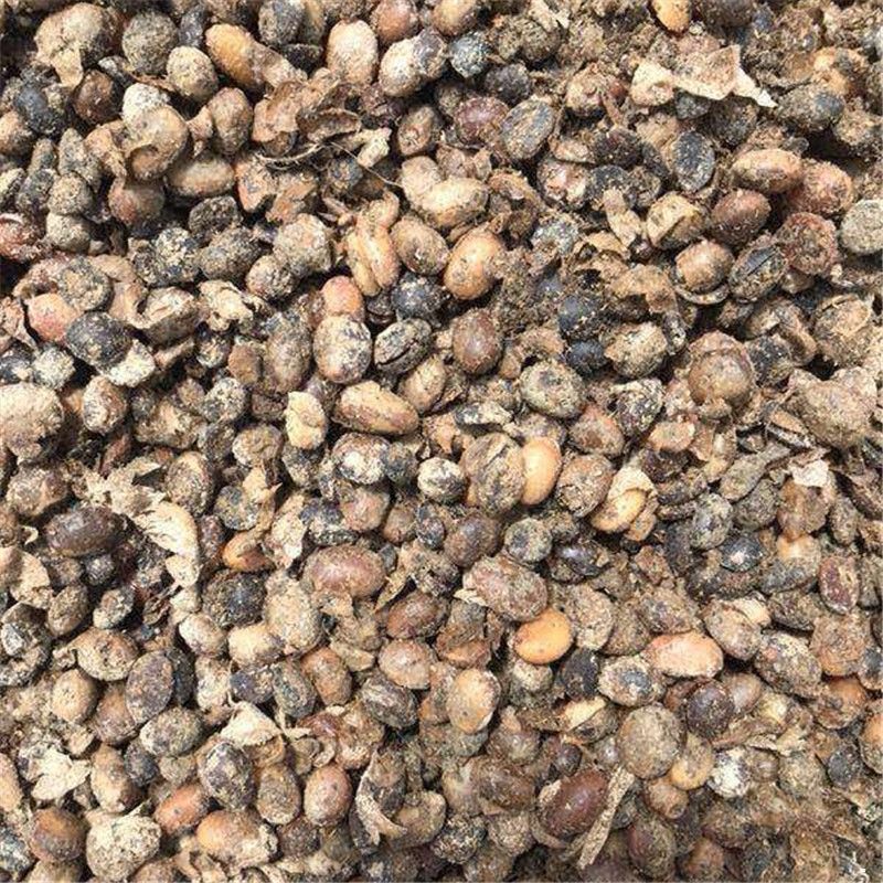 腐熟发酵大豆 发酵大豆厂家直销 发酵大豆厂家