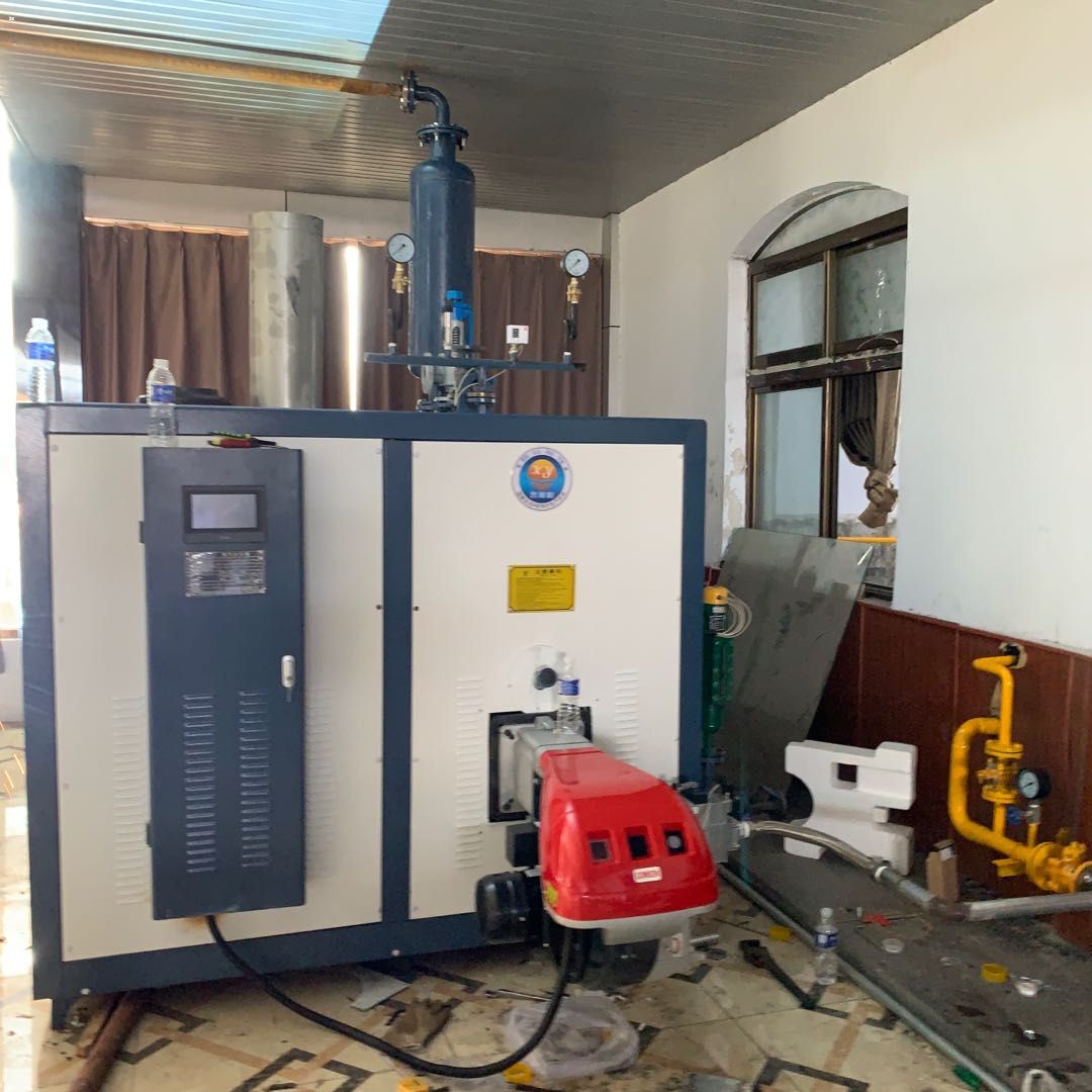 蒸汽发生器 天然气热水锅炉 洗浴 酒店 学校用 热水取暖锅炉 燃气蒸汽